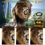 High Speed HDMI 2.0 Cable